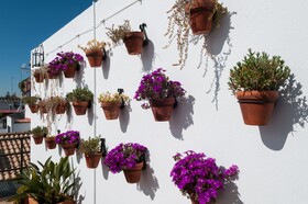 Murillo Hotel