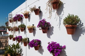 Murillo Hotel