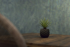 Petit Palace Canalejas