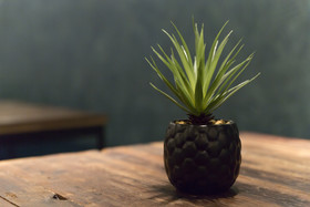 Petit Palace Canalejas