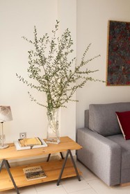 Q&Q Cathedral Suites Sevilla