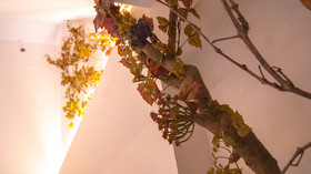 Sweet Sevilla Suites