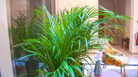 Sweet Sevilla Suites