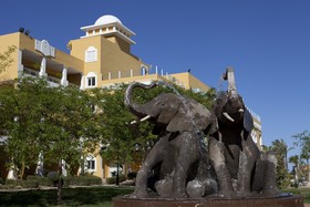 Playazimbali Soul Collection by Senator