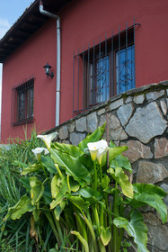 Los Candiles