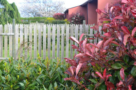 Apartamentos El Guindal