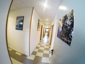ArtSurfCamp