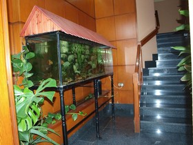 Hotel Francisco Javier