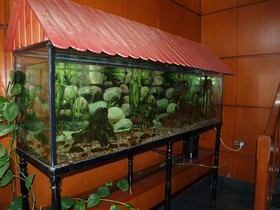 Hotel Francisco Javier