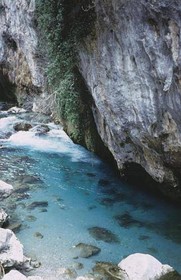 Picos de Europa