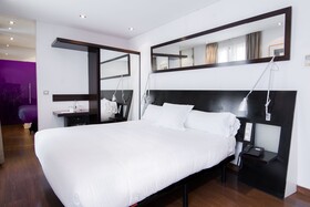 Petit Palace Arana