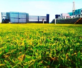 Escuela de Surf y Hostel Baldaio