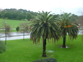 Hotel Norte