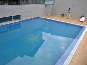 Estrella del Norte