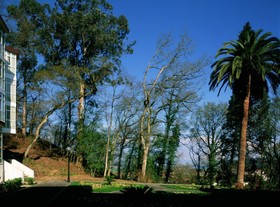 Parador de Limpias