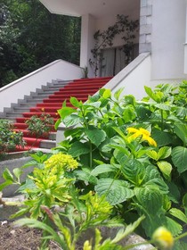 Parador de Limpias