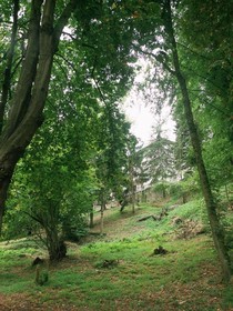 Parador de Limpias