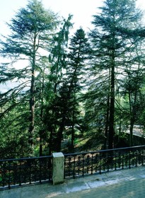 Parador de Limpias