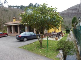 Benzua