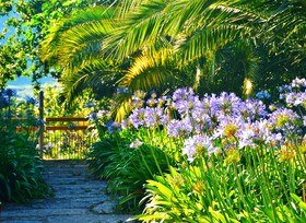 Quinta de San Amaro