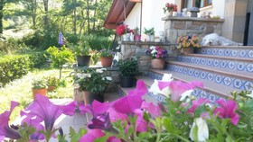 Ibarrondo Etxea Agroturismo