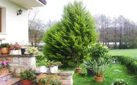 Ibarrondo Etxea Agroturismo