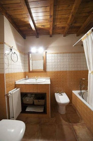 Casas Rurales de San Martin- Campon