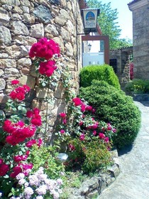 Casa Goris