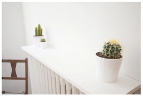 A Room in the City