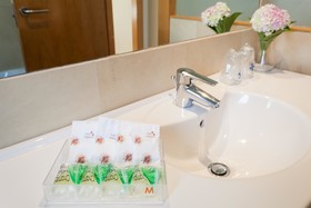 Hotel Miera