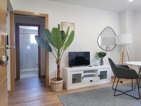 Apartamentos Rey
