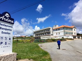 Ardora