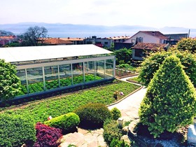 Augusta