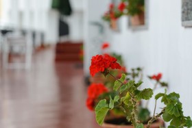 La Terraza