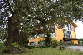 Ibarrola Txiki