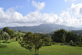 Ibarrola Txiki