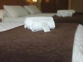 Hotel Avion