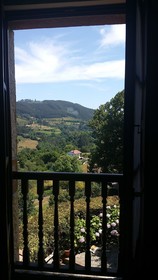 Trisqueles y Buganvillas