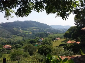 Trisqueles y Buganvillas