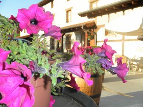 El Coto Hotel Restaurante
