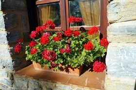 Casa Rural Goikoetxe