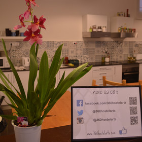 360 Hostel Barcelona Arts&Culture