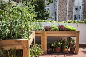 Albergue Studio Hostel