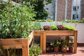 Albergue Studio Hostel