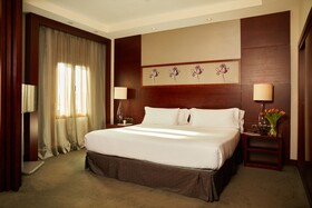 El Avenida Palace Hotel
