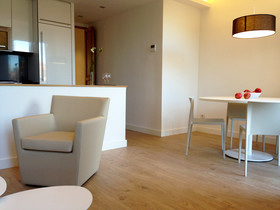 Barcelona Viladomat Apartment