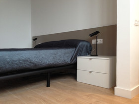 Barcelona Viladomat Apartment