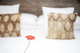 Cami Gallery Hotel