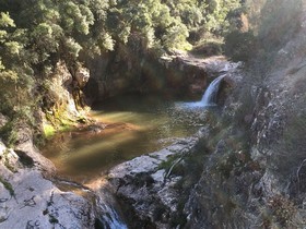 Can Morei