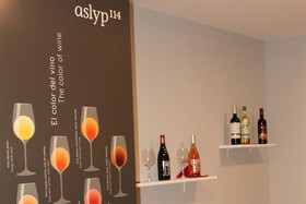 Hostal Aslyp 114 Barcelona